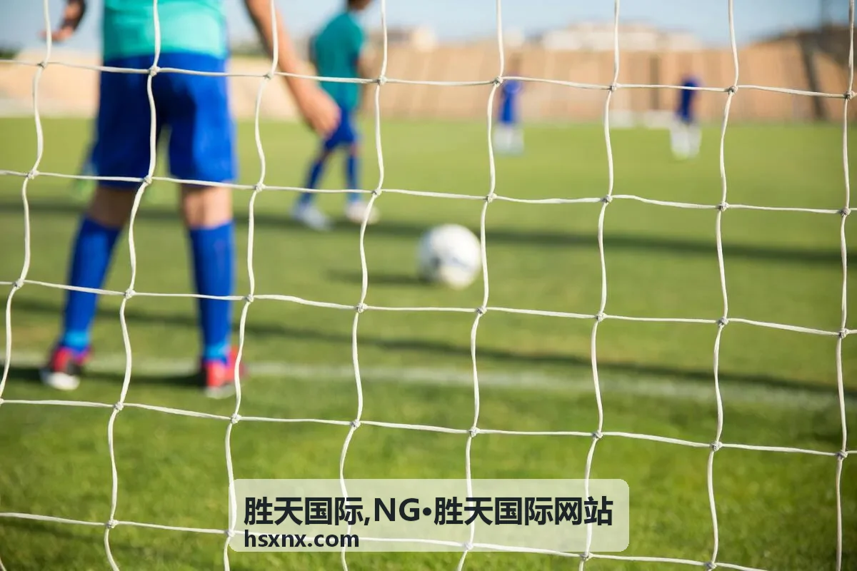 NG·胜天国际网站品牌介绍封面