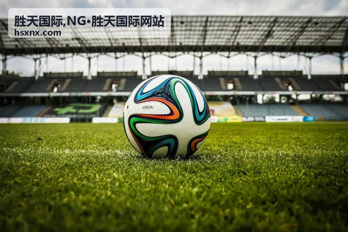 胜天国际合作流程内容封面